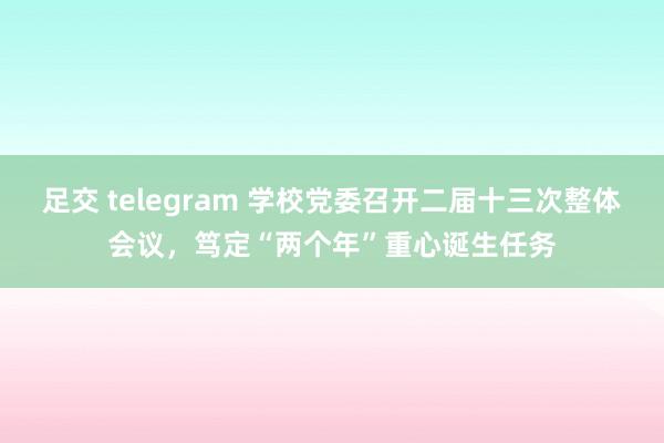 足交 telegram 学校党委召开二届十三次整体会议,笃定“两个年”重心诞生任务