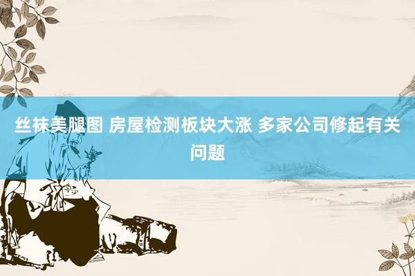 丝袜美腿图 房屋检测板块大涨 多家公司修起有关问题