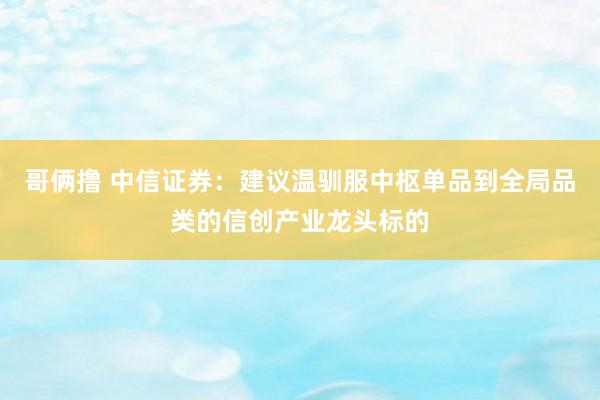 哥俩撸 中信证券:建议温驯服中枢单品到全局品类的信创产业龙头标的