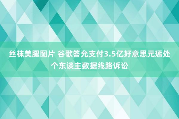 丝袜美腿图片 谷歌答允支付3.5亿好意思元惩处个东谈主数据线路诉讼