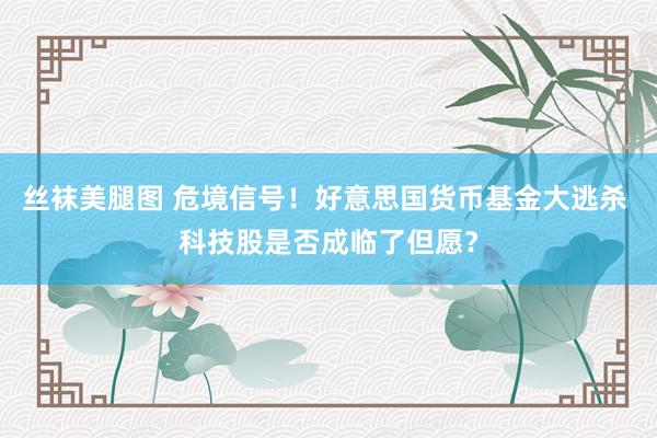 丝袜美腿图 危境信号!好意思国货币基金大逃杀 科技股是否成临了但愿?