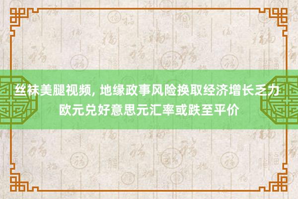 丝袜美腿视频， 地缘政事风险换取经济增长乏力 欧元兑好意思元汇率或跌至平价