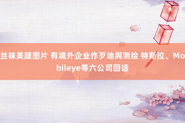 丝袜美腿图片 有境外企业作歹地舆测绘 特斯拉、Mobileye等六公司回话