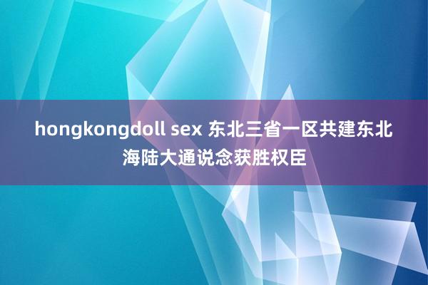 hongkongdoll sex 东北三省一区共建东北海陆大通说念获胜权臣