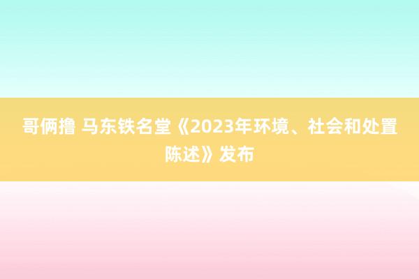 哥俩撸 马东铁名堂《2023年环境、社会和处置陈述》发布