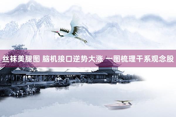 丝袜美腿图 脑机接口逆势大涨 一图梳理干系观念股