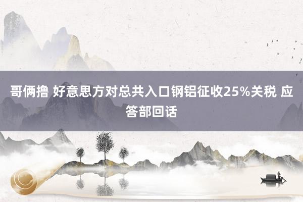 哥俩撸 好意思方对总共入口钢铝征收25%关税 应答部回话
