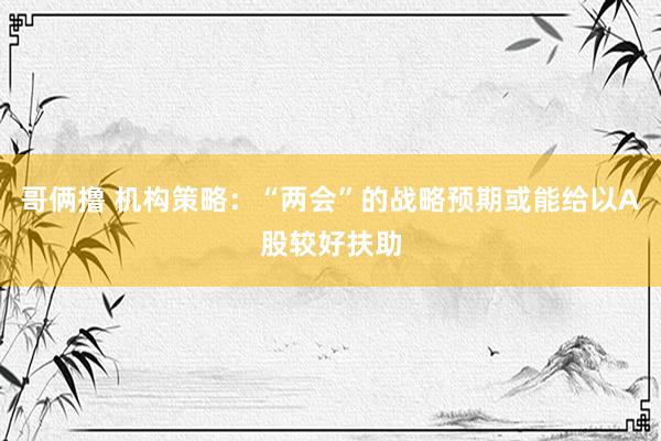 哥俩撸 机构策略:“两会”的战略预期或能给以A股较好扶助
