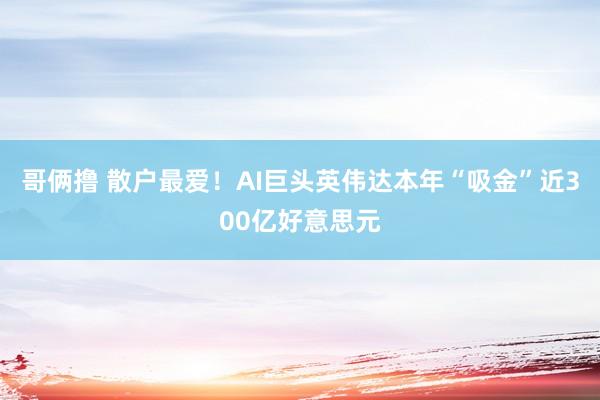 哥俩撸 散户最爱!AI巨头英伟达本年“吸金”近300亿好意思元