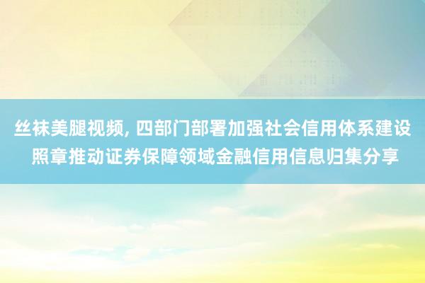 丝袜美腿视频, 四部门部署加强社会信用体系建设 照章推动证券保障领域金融信用信息归集分享